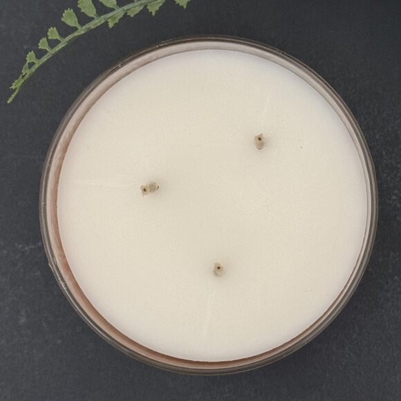 BBW Fiji White Sands Bath & Body Works 3 Wick Candle - Picture 7 of 10